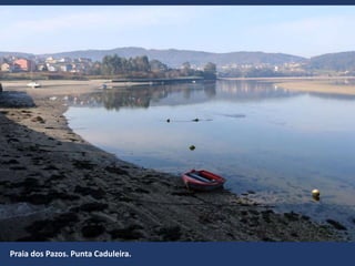 Praia dos Pazos. Punta Caduleira.
 