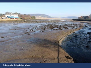 9. Enseada de Lodeiro. Miras.
 