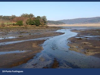10-Punta Fustingues
 