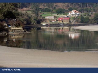 Taboído. O Rueiro.
 