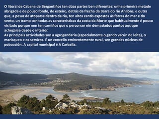 O litoral de Cabana de Bergantiños ten dúas partes ben diferentes: unha primeira metade
abrigada e de pouco fondo, de esteiro, detrás da frecha da Barra do río Anllóns, e outra
que, a pesar de atoparse dentro da ría, ten altos cantís expostos ás forzas do mar e do
vento, un tramo con todas as características da costa da Morte que habitualmente é pouco
visitado porque non ten camiños que o percorran nin demasiados puntos aos que
achegarse desde o interior.
As principais actividades son a agrogandaría (especialmente o gando vacún de leite), o
marisqueo e os servizos. É un concello eminentemente rural, sen grandes núcleos de
poboación. A capital municipal é A Carballa.
 