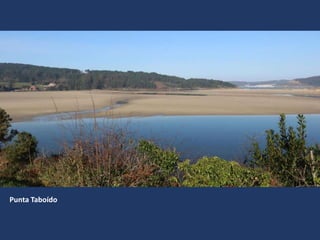 Punta Taboído
 