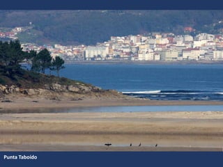 Punta Taboído
 