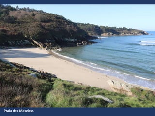Praia das Maseiras
 