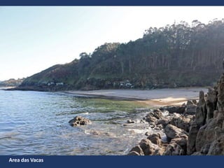 Area das Vacas
 