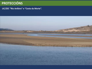 PROTECCIÓNS
LIC/ZEC “Río Anllóns” e “Costa da Morte”.
 