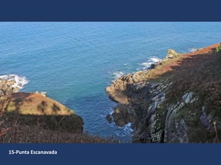 15-Punta Escanavada
 