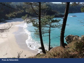Praia de Rebordelo
 