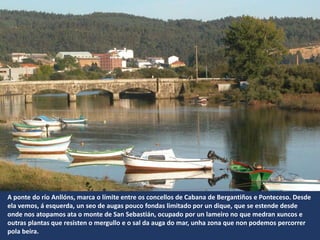 A ponte do río Anllóns, marca o límite entre os concellos de Cabana de Bergantiños e Ponteceso. Desde
ela vemos, á esquerda, un seo de augas pouco fondas limitado por un dique, que se estende desde
onde nos atopamos ata o monte de San Sebastián, ocupado por un lameiro no que medran xuncos e
outras plantas que resisten o mergullo e o sal da auga do mar, unha zona que non podemos percorrer
pola beira.
 