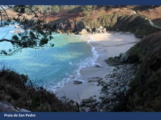 Praia de San Pedro
 
