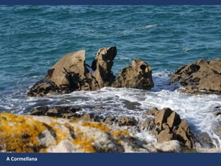 A Cormellana
 