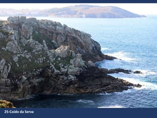 25-Coído da Serva
 