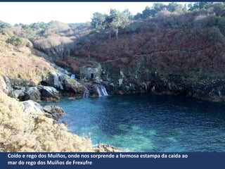 Coído e rego dos Muíños, onde nos sorprende a fermosa estampa da caída ao
mar do rego dos Muíños de Frexufre
 