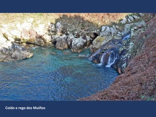 Coído e rego dos Muíños
 