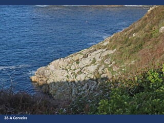 28-A Corveira
 