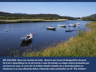 RÍO ANLLÓNS. Nace nos montes do Xalo, discorre por terras de Bergantiños durante
54,4 km e desemboca na ría de Corme e Laxe formando un amplo esteiro protexido por
una barra de area. O curso do río Anllóns desde Carballo ata a desembocadura en
Ponteceso e os seus afluentes Balsa e Rosende están protexidos no LIC “Río Anllóns”.
 