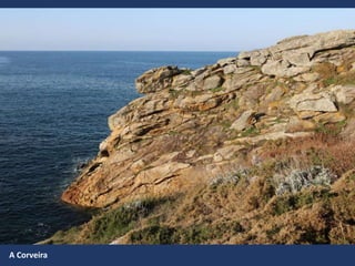 A Corveira
 