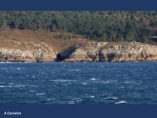 A Corveira
 