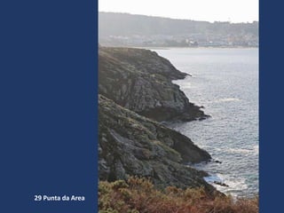 29 Punta da Area
 