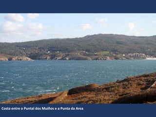 Costa entre o Puntal dos Muíños e a Punta da Area
 