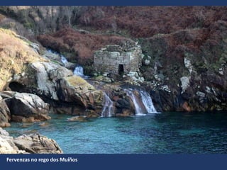 Fervenzas no rego dos Muíños
 