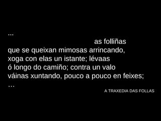 ...   as folliñas que se queixan mimosas arrincando, xoga con elas un istante; lévaas ó longo do camiño; contra un valo váinas xuntando, pouco a pouco en feixes; … A TRAXEDIA DAS FOLLAS 