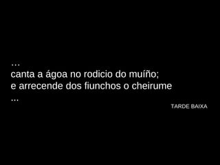 … canta a ágoa no rodicio do muíño; e arrecende dos fiunchos o cheirume ...   TARDE BAIXA 