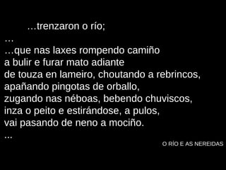 … trenzaron o río; … … que nas laxes rompendo camiño a bulir e furar mato adiante de touza en lameiro, choutando a rebrincos, apañando pingotas de orballo, zugando nas néboas, bebendo chuviscos, inza o peito e estirándose, a pulos, vai pasando de neno a mociño. ... O RÍO E AS NEREIDAS 