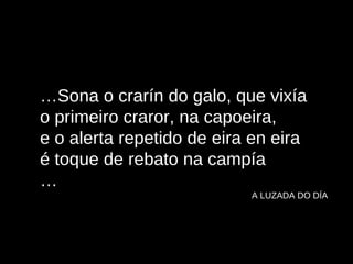 … Sona o crarín do galo, que vixía o primeiro craror, na capoeira, e o alerta repetido de eira en eira é toque de rebato na campía … A LUZADA DO DÍA 