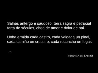 Salnés antergo e saudoso, terra sagra e petrucial farta de séculos, chea de amor e dolor de nai. Unha ermida cada castro, cada valgada un pinal, cada camiño un cruceiro, cada recuncho un fogar. …   VENDIMA EN SALNÉS 