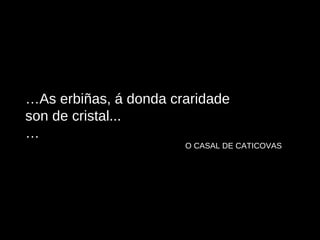 … As erbiñas, á donda craridade son de cristal... … O CASAL DE CATICOVAS 