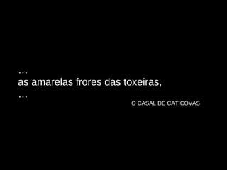 … as amarelas frores das toxeiras, … O CASAL DE CATICOVAS 