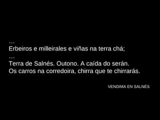 … Erbeiros e milleirales e viñas na terra chá; … Terra de Salnés. Outono. A caída do serán. Os carros na corredoira, chirra que te chirrarás.   VENDIMA EN SALNÉS 
