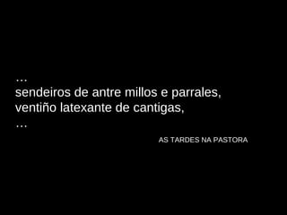 … sendeiros de antre millos e parrales,  ventiño latexante de cantigas,  … AS TARDES NA PASTORA 