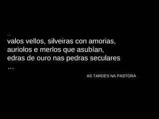 … valos vellos, silveiras con amorias,  auriolos e merlos que asubían,  edras de ouro nas pedras seculares  … AS TARDES NA PASTORA 
