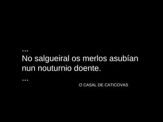 ... No salgueiral os merlos asubían nun nouturnio doente. ... O CASAL DE CATICOVAS 