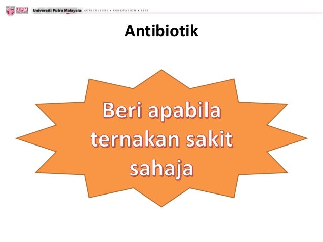 Cabaran penyakit ayam dan kawalan berkesan