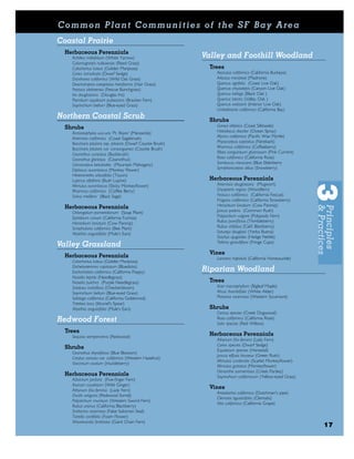 Co mmo n P la nt Co mmuni t ie s of t he SF Ba y A re a
Coastal Prairie
  Herbaceous Perennials
    Achillea millefolium (White Yarrow)                       Valley and Foothill Woodland
    Calamagrostis nutkaensis (Reed Grass)
    Calochortus luteus (Golden Mariposa)                       Trees
    Carex tumulicola (Dwarf Sedge)                               Aesculus californica (California Buckeye)
    Danthonia californica (Wild Oat Grass)                       Arbutus menziesii (Madrone)
    Deschampsia caespitosa holciformis (Hair Grass)              Quercus agrifolia (Coast Live Oak)
    Festuca idahoensis (Fescue Bunchgrass)                       Quercus chrysolepis (Canyon Live Oak)
    Iris douglasiana (Douglas Iris)                              Quercus kellogii (Black Oak )
    Pteridium aquilinum pubescens (Bracken Fern)                 Quercus lobata (Valley Oak )
    Sisyrinchium bellum (Blue-eyed Grass)                        Quercus wislizenii (Interior Live Oak)
                                                                 Umbellularia californica (California Bay)
Northern Coastal Scrub                                         Shrubs
  Shrubs                                                         Garrya elliptica (Coast Silktassle)
    Arctostaphylos uva-ursi 'Pt. Reyes' (Manzanita)              Holodiscus discolor (Ocean Spray)
    Artemisia californica (Coast Sagebrush)                      Myrica californica (Paciﬁc Wax Myrtle)
    Baccharis pilularis ssp. pilularis (Dwarf Coyote Brush)      Physocarpus capitatus (Ninebark)
    Baccharis pilularis var. consanguinea (Coyote Brush)         Rhamnus californica (Coffeeberry)
    Ceanothus cuneatus (Buckbrush)                               Ribes sanguineum glutinosum (Pink Current)
    Ceanothus gloriosus (Ceanothus)                              Rosa californica (California Rose)
    Cercocarpus betuloides (Mountain Mahogany)                   Sambucus mexicana (Blue Elderberry
    Diplacus aurantiacus (Monkey Flower)                         Symphoricarpos albus (Snowberry)
    Heteromeles arbutifolia (Toyon)
    Lupinus albifrons (Bush Lupine)                            Herbaceous Perennials
    Mimulus aurantiacus (Sticky Monkeyﬂower)                     Artemisia douglasiana (Mugwort)
    Rhamnus californica (Coffee Berry)                           Dryopteris arguta (Woodfern)
    Salvia melifera (Black Sage)                                 Festuca californica (California Fescue)
                                                                 Fragaria californica (California Strawberry)
  Herbaceous Perennials                                          Heracleum lanatum (Cow Parsnip)
    Chlorogolum pomeridianum (Soap Plant)                        Juncus patens (Common Rush)
    Epilobium canum (California Fuchsia)                         Polypodium vulgare (Polypody Fern)
    Heracleum lanatum (Cow Parsnip)                              Rubus parviﬂorus (Thimbleberry)
    Scrophularia californica (Bee Plant)                         Rubus vitifolius (Calif. Blackberry)
    Wyethia angustifolia (Mule's Ears)                           Satureja douglasii (Yerba Buena)
                                                                 Stachys ajugoides (Hedge Nettle)
                                                                 Tellima grandiﬂora (Fringe Cups)
Valley Grassland
                                                               Vines
  Herbaceous Perennials                                          Lonicera hispidula (California Honeysuckle)
    Calochortus luteus (Golden Mariposa)
    Dichelostemma capitatum (Bluedicks)
    Eschscholzia californica (California Poppy)               Riparian Woodland
    Nasella lepida (Needlegrass)
    Nasella pulchra (Purple Needlegrass)                       Trees
    Sidalcea malviﬂora (Checkerbloom)                            Acer macrophyllum (Bigleaf Maple)
    Sisyrinchium bellum (Blue-eyed Grass)                        Alnus rhombifolia (White Alder)
    Solidago californica (California Goldenrod)                  Platanus racemosa (Western Sycamore)
    Triteleia laxa (Ithuriel's Spear)
    Wyethia angustifolia (Mule’s Ears)                         Shrubs
                                                                 Cornus species (Creek Dogwood)
Redwood Forest                                                   Rosa californica (California Rose)
                                                                 Salix species (Red Willow)
  Trees
    Sequoia sempervirens (Redwood)
                                                               Herbaceous Perennials
                                                                 Athyrium ﬁlix-femina (Lady Fern)
                                                                 Carex species (Dwarf Sedge)
  Shrubs                                                         Equisetum species (Horsetail)
    Ceanothus thyrsiﬂorus (Blue Blossom)
                                                                 Juncus effusis bruneus (Green Rush)
    Corylus cornuta var. californica (Western Hazelnut)
                                                                 Mimulus cardenalis (Scarlet Monkeyﬂower)
    Vaccinium ovatum (Huckleberry)
                                                                 Mimulus guttatus (Monkeyﬂower)
                                                                 Oenanthe sarmentosa (Creek Parsley)
  Herbaceous Perennials                                          Sisyrinchium californicum (Yellow-eyed Grass)
    Adiantum jordanii (Five-ﬁnger Fern)
    Asarum caudatum (Wild Ginger)
    Athyrium ﬁlix-femina (Lady Fern)
                                                               Vines
                                                                 Aristolochia californica (Dutchman's pipe)
    Oxalis oregana (Redwood Sorrel)
                                                                 Clematis ligusticifolia (Clematis)
    Polystichum munitum (Western Sword Fern)
                                                                 Vitis californica (California Grape)
    Rubus ursinus (California Blackberry)
    Smilacina racemosa (False Solomon Seal)
    Tiarella cordifolia (Foam Flower)
    Woodwardia ﬁmbriata (Giant Chain Fern)
                                                                                                                 17
 