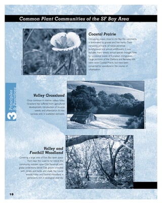 Common Plant Communities of the SF Bay Area


                                                           Coastal Prairie
                                                           Occupying slopes close to the Bay, this community
                                                           is dominated by grasses and low herbs. Once
                                                           consisting primarily of native perennial
                                                           bunchgrasses and annual wildﬂowers, it now
                                                           includes many weedy annual species brought here
                                                           by successive waves of European immigration.
                                                           Large portions of the Oakland and Berkeley hills
                                                           were once Coastal Prairie, but have been
                                                           converted to woodland in the course of
                                                           urbanization.




                     Valley Grassland
              Once common in interior valleys, Valley
              Grassland has suffered from agricultural
               development, introduction of invasive
                      weeds, and urbanization. It now
                 survives only in scattered remnants.




                         Valley and
                 Foothill Woodland
      Covering a large area of East Bay open space
              from near the coast to far inland, this
     community includes open Oak Savannah with
     grassy understory, dense Oak groves crowded
       with shrubs and herbs, and shady Bay Laurel
             woods.Valley and Foothill Woodland is
              particularly rich in ecological diversity.




18
 