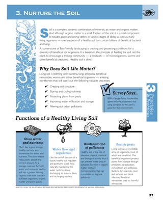 3. Nurture the Soil

                                    oil is a complex, dynamic combination of minerals, air, water and organic matter.

                          S         And although organic matter is a small fraction of the soil, it is a vital component.
                                    It includes plant and animal debris in various stages of decay as well as many
                          living organisms — one teaspoon of a healthy soil can contain billions of beneﬁcial bacteria
                          and fungi.
                          A cornerstone of Bay-Friendly landscaping is creating and protecting conditions for a
                          diversity of beneﬁcial soil organisms. It is based on the principle of feeding the soil, not the
                          plant, to encourage a thriving community — a foodweb — of microorganisms, worms and
                          other beneﬁcial creatures. Healthy soil is alive!


                          Why Does Soil Life Matter?
                          Living soil is teeming with bacteria, fungi, protozoa, beneﬁcial
                          nematodes, worms and other beneﬁcial organisms — amazing
                          workhorses that will carry out the following valuable processes:

                                ✔ Creating soil structure
                                ✔ Storing and cycling nutrients
                                                                                                            Survey Says...
                                ✔ Protecting plants from pests
                                                                                                       80% of single-family households
                                ✔ Improving water inﬁltration and storage                              agree with the statement that
                                                                                                       using compost in the yard is
                                ✔ Filtering out urban pollutants                                       good for the environment.



Functions of a Healthy Living Soil


        Store water
       and nutrients                                                        Neutralization                      Resists pests
   Much like a giant sponge,                                                 of pollutants
                                        Water ﬂow and                                                      Living soil has an incredible
   healthy soil acts as a
                                         regulation                     Healthy soil is the site of        array of organisms, most of
   storehouse for water and
                                                                        intensive physical, chemical       which are beneﬁcial. The
   nutrients. The slow release       Like the on/off function of a      and biological activity, thus it   beneﬁcial organisms protect
   helps plants absorb the           faucet, healthy soil regulates     can prevent water and air          plants from disease through
   correct amount. As a              and partitions water ﬂow,          pollution. Soil rich in organic    predation, parasitization,
   storage reservoir for both        naturally maintaining the          matter contains                    competition and antibiosis.
   water and nutrients, healthy      water cycle by slowly              microorganisms that can            Bacteria, for example, cover
   soil has a greater holding        discharging to streams, lakes      immobilize or degrade              leaf surfaces and block
   capacity than soils that lack     and recharging aquifers.           pollutants.                        infection. Beneﬁcial
   sufﬁcient organisms, organic
                                                                                                           nematodes prey on harmful
   matter and pore spaces.
                                                                                                           nematodes.
ADAPTED FROM: THE RELATIONSHIP BETWEEN SOIL AND WATER, KING COUNTY DEPARTMENT OF NATURAL RESOURCES.




                                                                                                                                           27
 