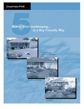 Chapter FIVE




        How to Start Landscaping. . .
                       in a Bay-Friendly Way




                                               A conventional landscape
                                               is transitioned to a Bay-Friendly
                                               landscape.


Conventional landscape




                         Lawn sheet mulched in place




                                                            One year later
 