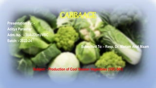 CABBAAGE
Presentation By: -
Aditya Parashar
Adm. No.: - 38A-22(m)/VSC
Batch: - 2022-24
Submitted To: - Resp. Dr. Mariam Anal Maam
Subject: - Production of Cool Season Vegetables (VSC-501)
 