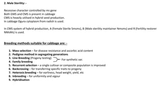 2. Male Sterility: -
Recessive character controlled by ms gene
Both GMS and CMS is present in cabbage
CMS is heavily utilised in hybrid seed production.
In cabbage Ogura cytoplasm from radish is used.
In CMS system of hybrid production, A (Female Sterile Smsms), B (Male sterility maintainer Nmsms) and R (Fertility restorer
NMsMs) is used.
Breeding methods suitable for cabbage are: -
1. Mass selection – for disease resistance and ascorbic acid content
2. Pedigree method in segregating generations
3. Line Breeding (Progeny testing)
4. Family breeding
5. Recurrent selection – a single cultivar or composite population is improved
6. Backcrossing – for transferring specific traits to progeny
7. Heterosis breeding – for earliness, head weight, yield, etc
8. Inbreeding – for uniformity and vigour
9. Hybridisation
For synthetic var.
 