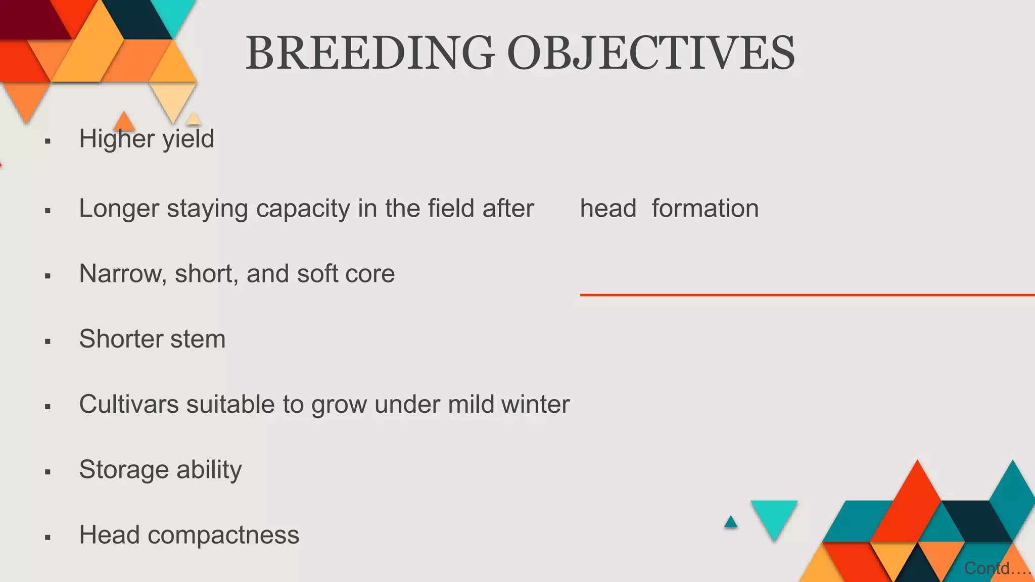 BREEDING OBJECTIVES
 Higher yield
 Longer staying capacity in the field after head formation
 Narrow, short, and soft core
 Shorter stem
 Cultivars suitable to grow under mild winter
 Storage ability
 Head compactness
Contd….
 