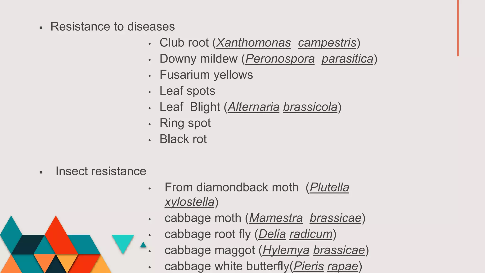  Resistance to diseases
• Club root (Xanthomonas campestris)
• Downy mildew (Peronospora parasitica)
• Fusarium yellows
• Leaf spots
• Leaf Blight (Alternaria brassicola)
• Ring spot
• Black rot
 Insect resistance
• From diamondback moth (Plutella
xylostella)
• cabbage moth (Mamestra brassicae)
• cabbage root fly (Delia radicum)
• cabbage maggot (Hylemya brassicae)
• cabbage white butterfly(Pieris rapae)
 