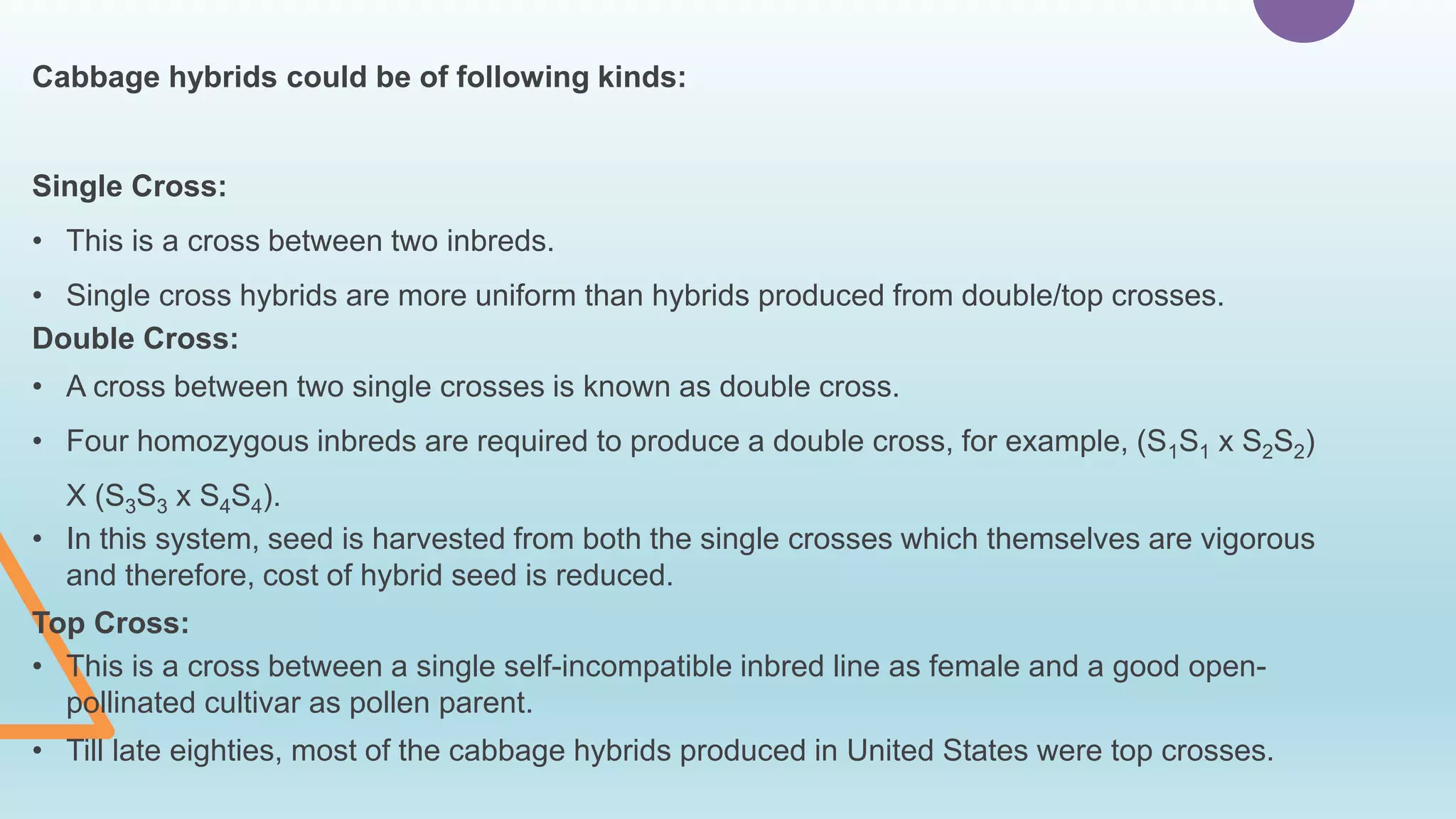 Cabbage hybrids could be of following kinds:
Single Cross:
• This is a cross between two inbreds.
• Single cross hybrids are more uniform than hybrids produced from double/top crosses.
Double Cross:
• A cross between two single crosses is known as double cross.
• Four homozygous inbreds are required to produce a double cross, for example, (S1S1 x S2S2)
X (S3S3 x S4S4).
• In this system, seed is harvested from both the single crosses which themselves are vigorous
and therefore, cost of hybrid seed is reduced.
Top Cross:
• This is a cross between a single self-incompatible inbred line as female and a good open-
pollinated cultivar as pollen parent.
• Till late eighties, most of the cabbage hybrids produced in United States were top crosses.
 