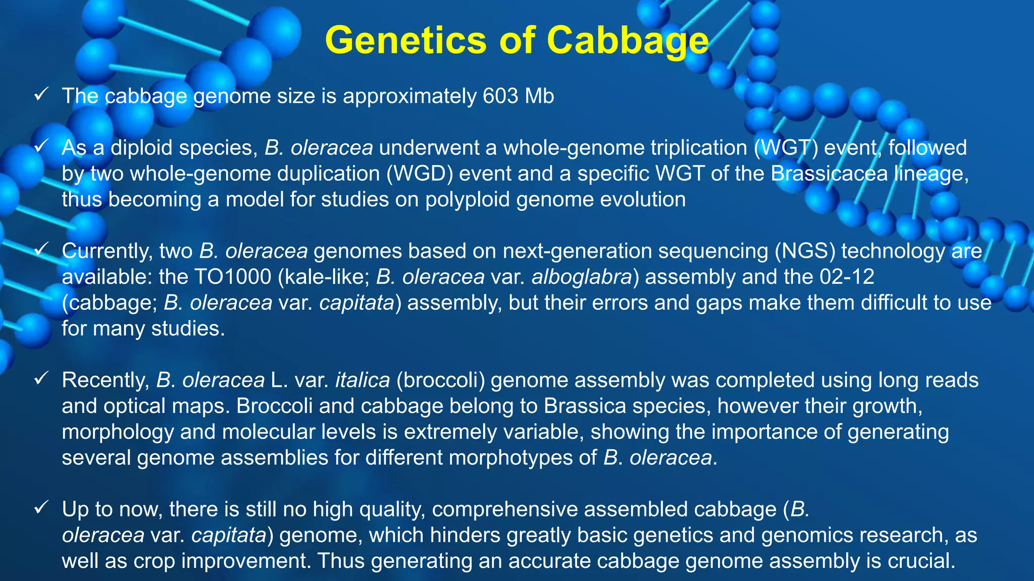  The cabbage genome size is approximately 603 Mb
 As a diploid species, B. oleracea underwent a whole-genome triplication (WGT) event, followed
by two whole-genome duplication (WGD) event and a specific WGT of the Brassicacea lineage,
thus becoming a model for studies on polyploid genome evolution
 Currently, two B. oleracea genomes based on next-generation sequencing (NGS) technology are
available: the TO1000 (kale-like; B. oleracea var. alboglabra) assembly and the 02-12
(cabbage; B. oleracea var. capitata) assembly, but their errors and gaps make them difficult to use
for many studies.
 Recently, B. oleracea L. var. italica (broccoli) genome assembly was completed using long reads
and optical maps. Broccoli and cabbage belong to Brassica species, however their growth,
morphology and molecular levels is extremely variable, showing the importance of generating
several genome assemblies for different morphotypes of B. oleracea.
 Up to now, there is still no high quality, comprehensive assembled cabbage (B.
oleracea var. capitata) genome, which hinders greatly basic genetics and genomics research, as
well as crop improvement. Thus generating an accurate cabbage genome assembly is crucial.
Genetics of Cabbage
 