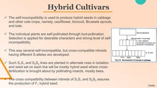  The self-incompatibility is used to produce hybrid seeds in cabbage
and other cole crops, namely, cauliflower, broccoli, Brussels sprouts,
and kale.
 The individual plants are self-pollinated through bud-pollination.
Selection is applied for desirable characters and strong level of self-
incompatibility.
 This way several self-incompatible, but cross-compatible inbreds
having different S-alleles are developed.
 Such S1S1 and S2S2 lines are planted in alternate rows in isolation
and seed set on each line will be mostly hybrid seed where cross-
fertilization is brought about by pollinating insects, mostly bees.
 The cross compatibility between inbreds of S1S1 and S2S2 assures
the production of F1 hybrid seed.
Hybrid Cultivars
Contd…
 