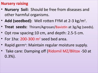 Fym Well Rotted PRODUCTION TECHNOLOGY OF CABBAGE AND SEED PRODUCTION | PPTX