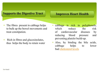 Supports the Digestive Tract
 The fibres present in cabbage helps
to bulk up the bowel movements and
treat constipation.
 Rich in fibres and glucosinolates,
thus helps the body to retain water
Improves Heart Health
 cabbage is rich in polyphenols,
which reduce the risk
of cardiovascular diseases by
reducing blood pressure and
preventing platelet build-up.
 Also, by binding the bile acids,
cabbage helps to lower
bad cholesterol levels
Dar Maajid
 